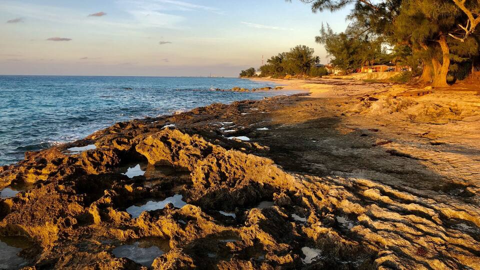 A rocky shoreline with a clear view of the sea, a sandy beach, and a few trees.