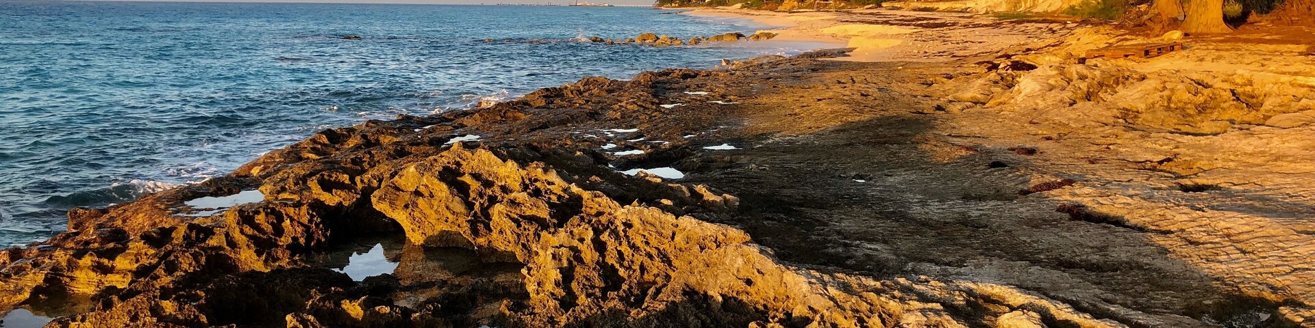 Una costa rocosa con vista despejada al mar, una playa arenosa y algunos árboles.