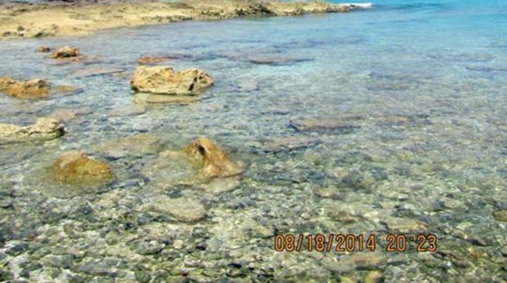 I wasn't at a casino resort, but it's close. Shell beach North Bimini!