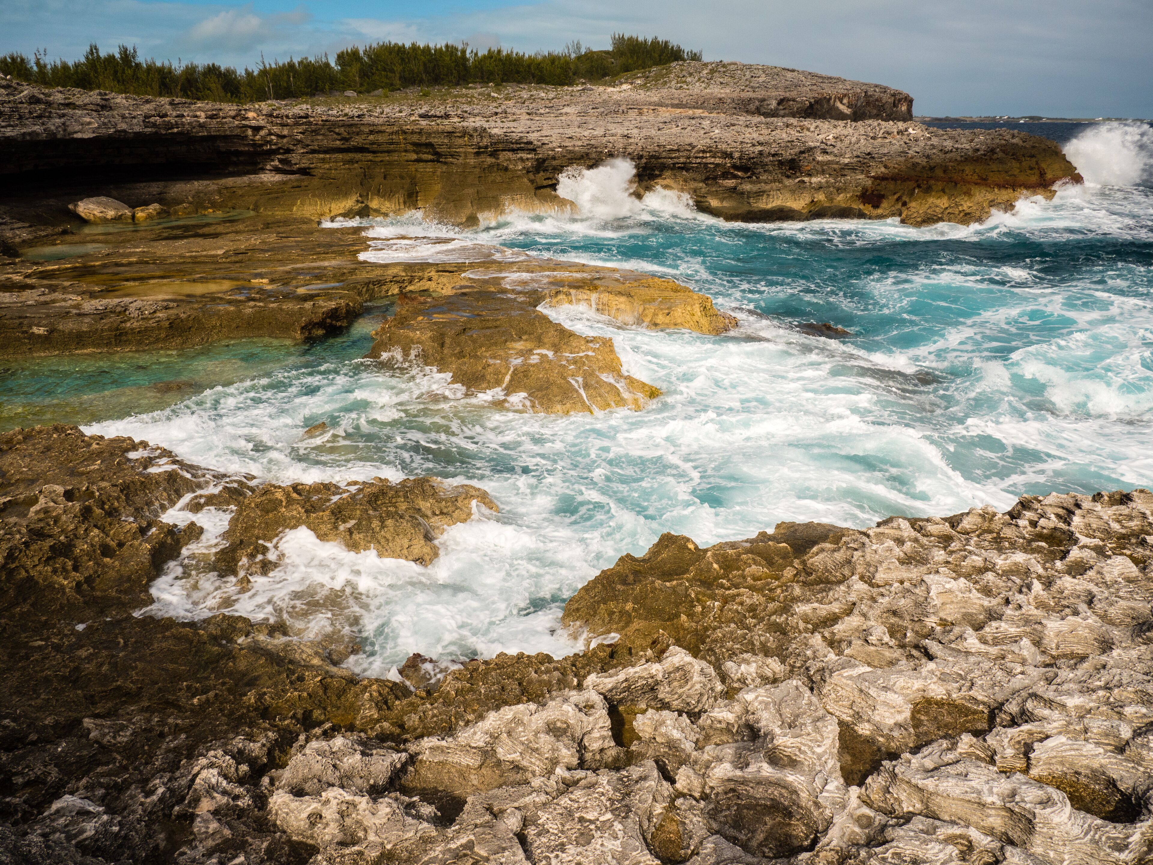 جريجوري تاون