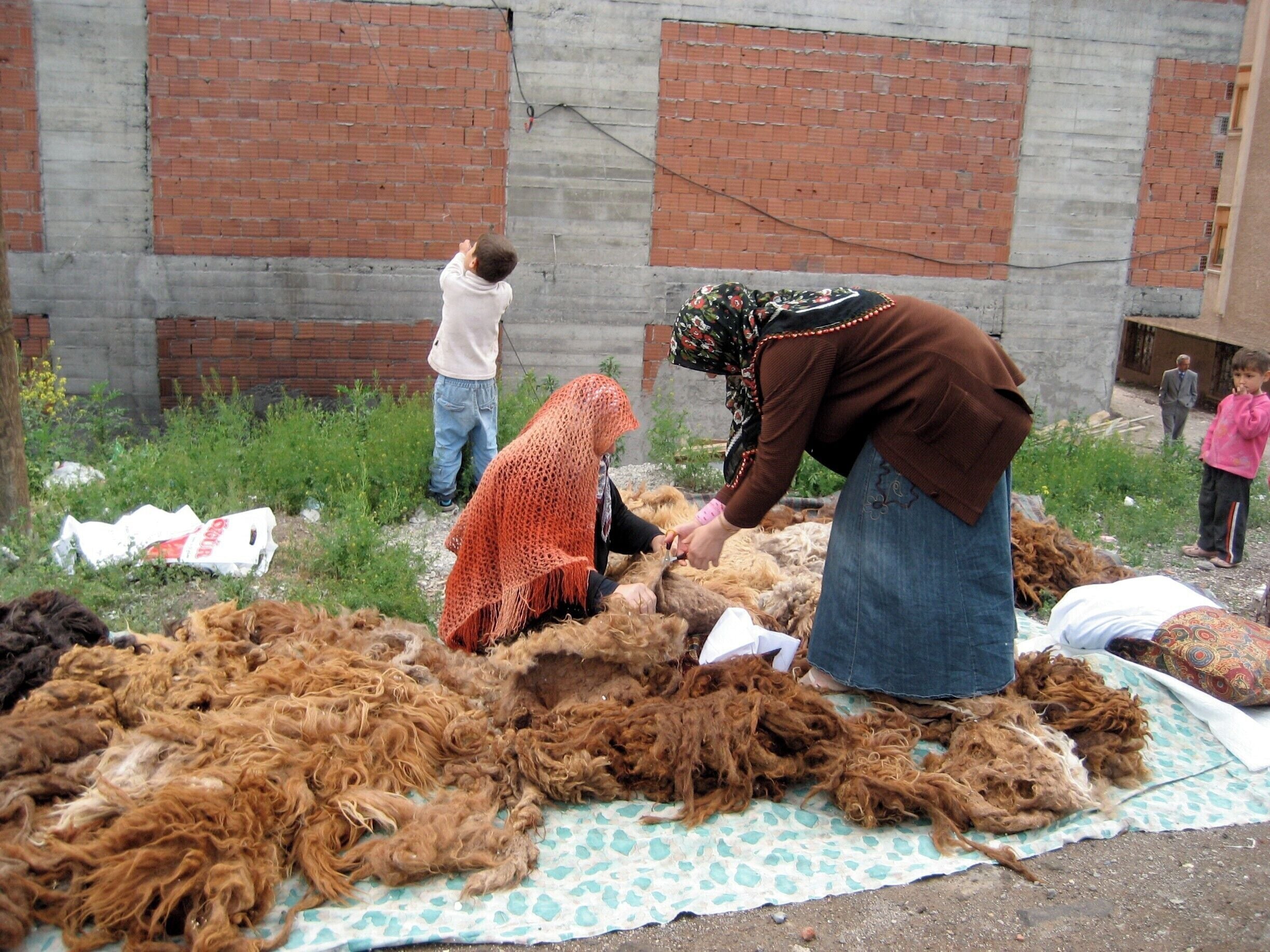 The sheep's wool will be made into yarn.
