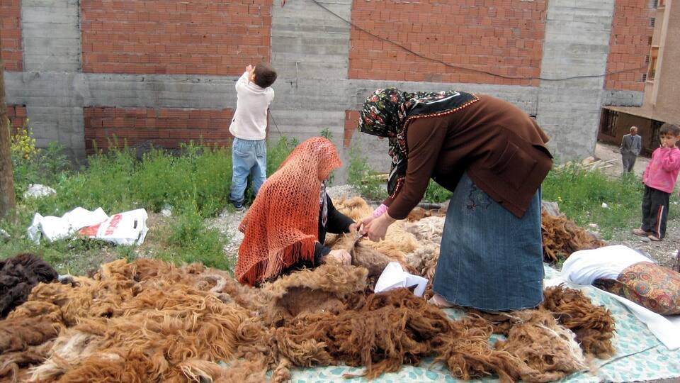 The sheep's wool will be made into yarn.