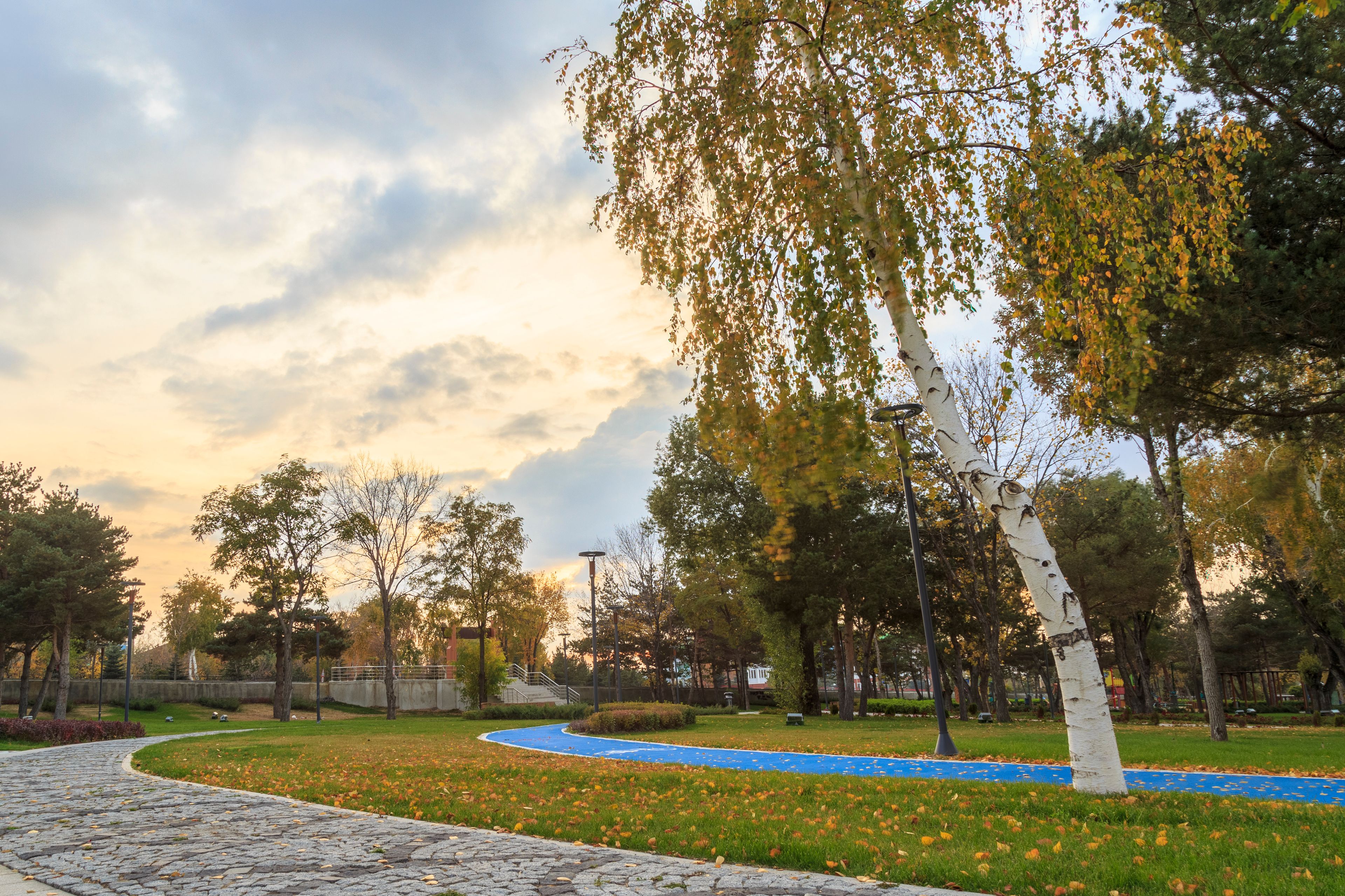 A park with a cobblestone path, a blue painted area, and trees with autumn leaves.