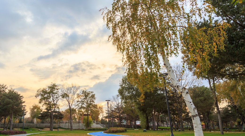 A park with a cobblestone path, a blue painted area, and trees with autumn leaves.