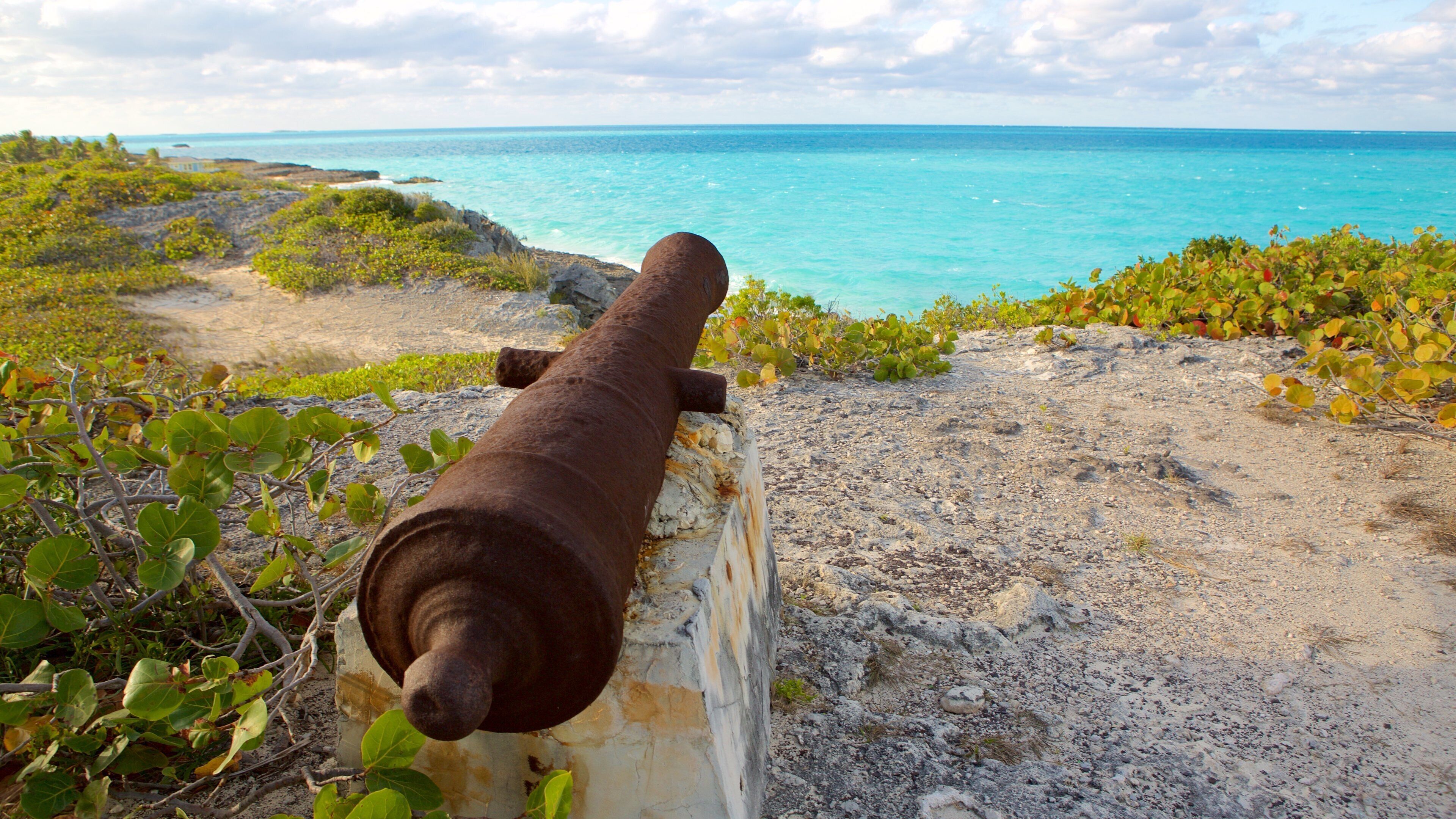William\'s Town mostrando vistas generales de la costa