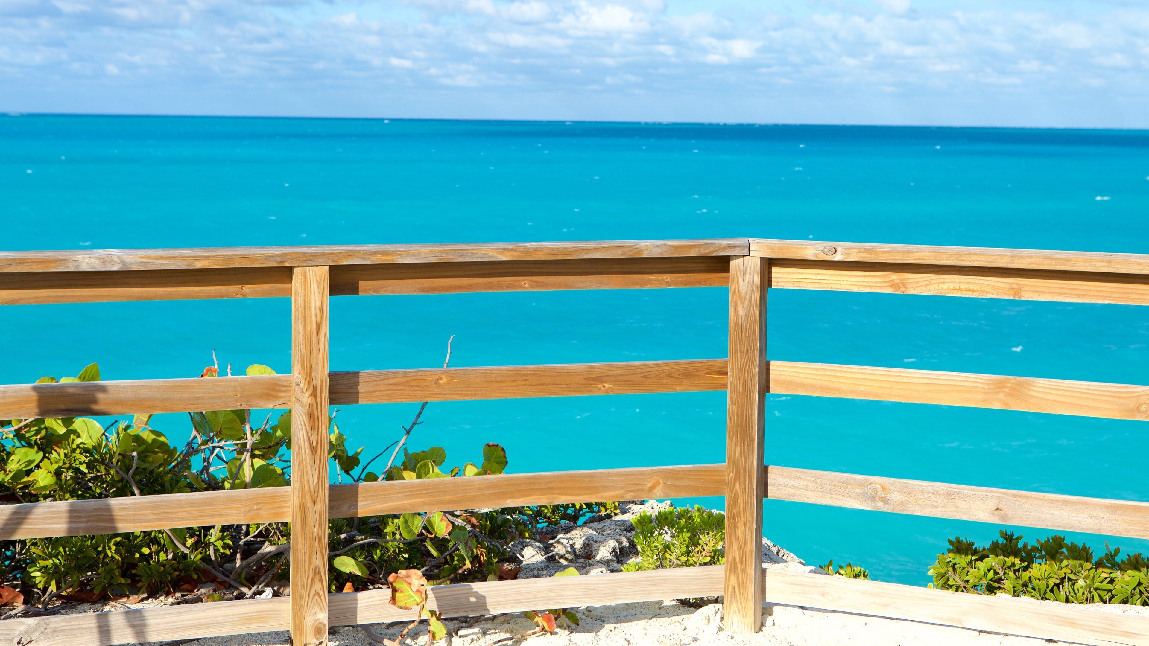 William\'s Town que incluye vistas generales de la costa y vistas