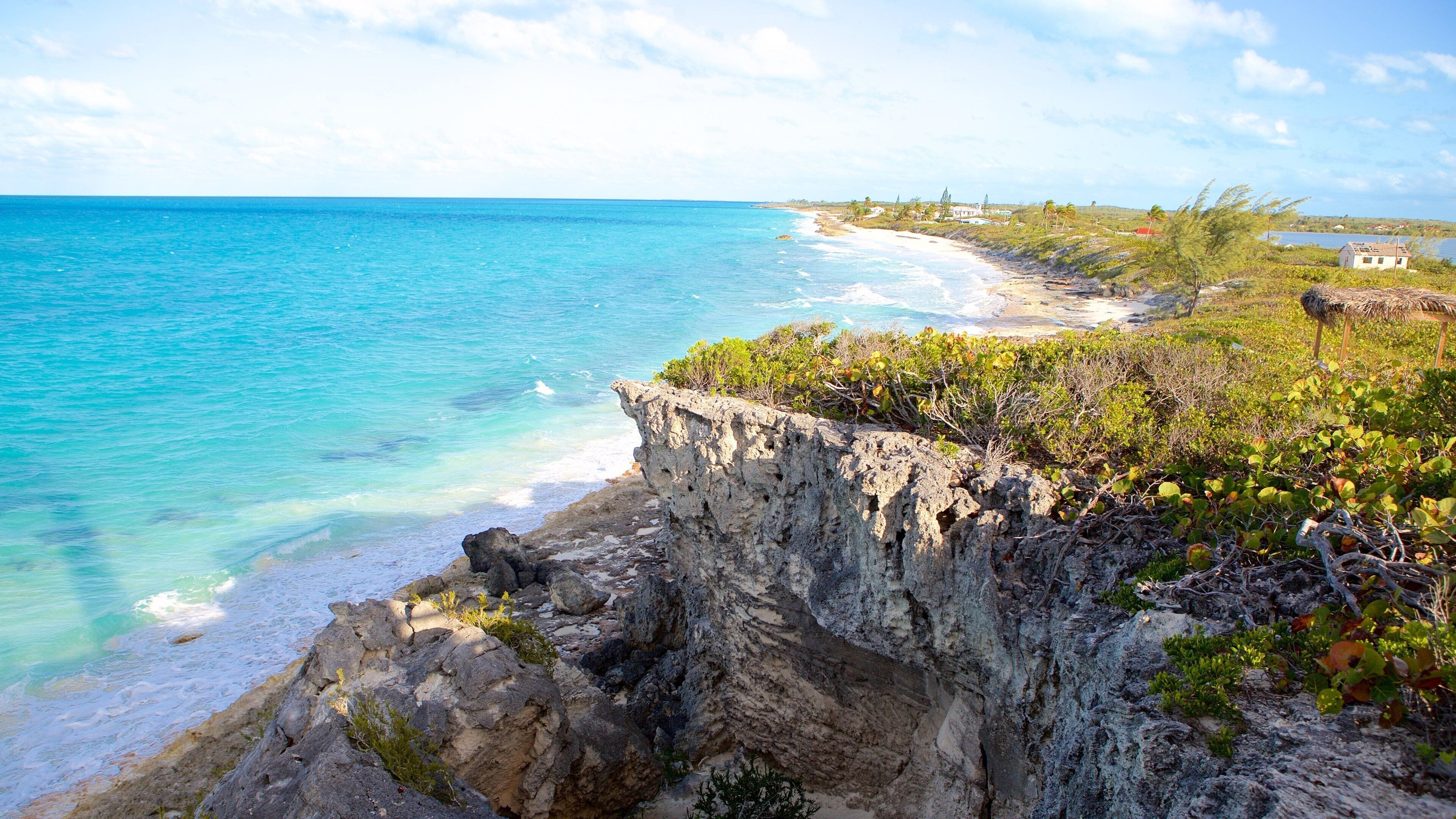 William\'s Town mostrando costa rocosa, un barranco o cañón y escenas tropicales