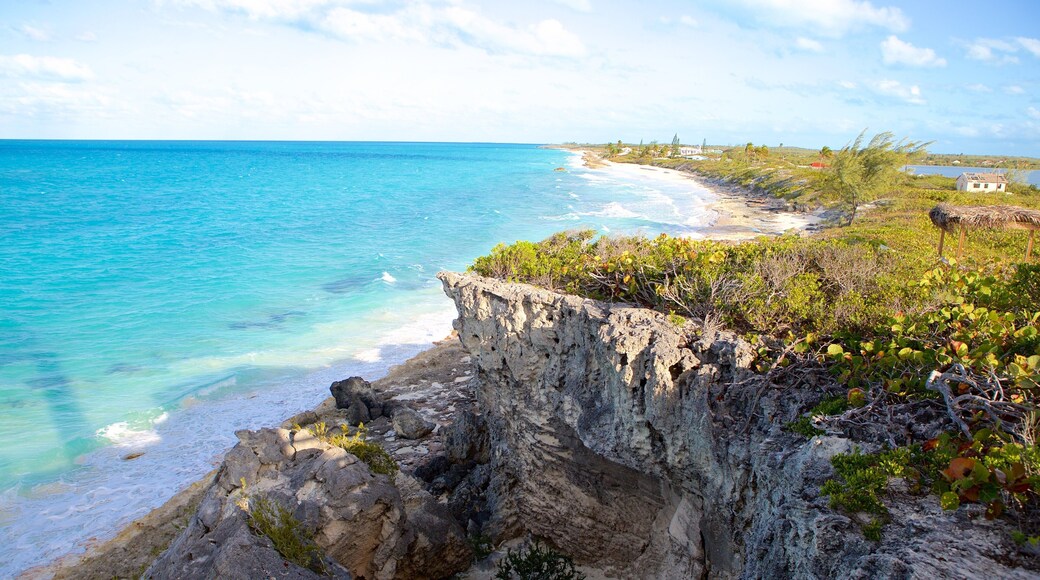 William\'s Town mostrando costa rocosa, un barranco o cañón y escenas tropicales