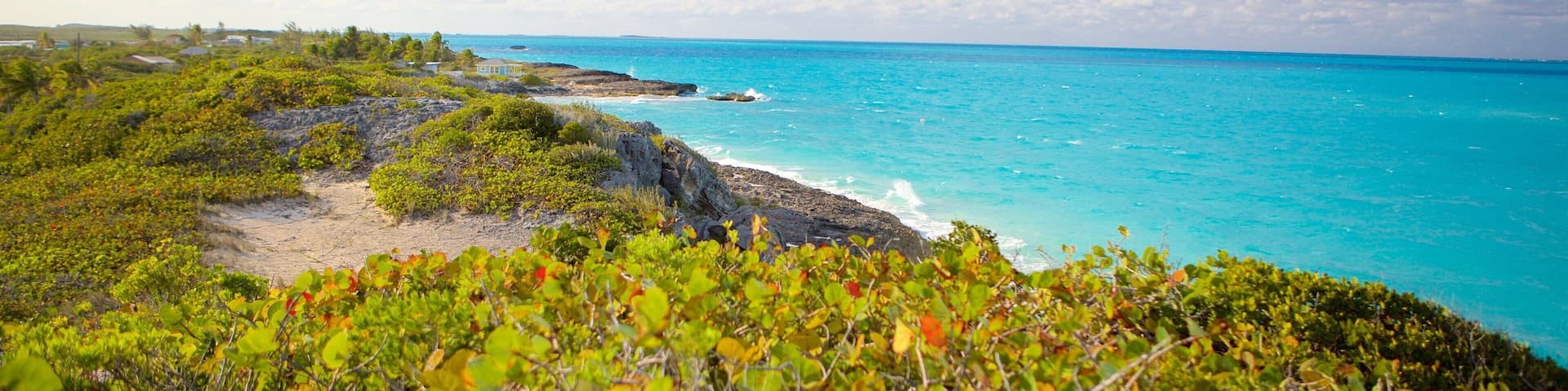 A coastal landscape with turquoise waters, rocky cliffs, and dense green vegetation.
