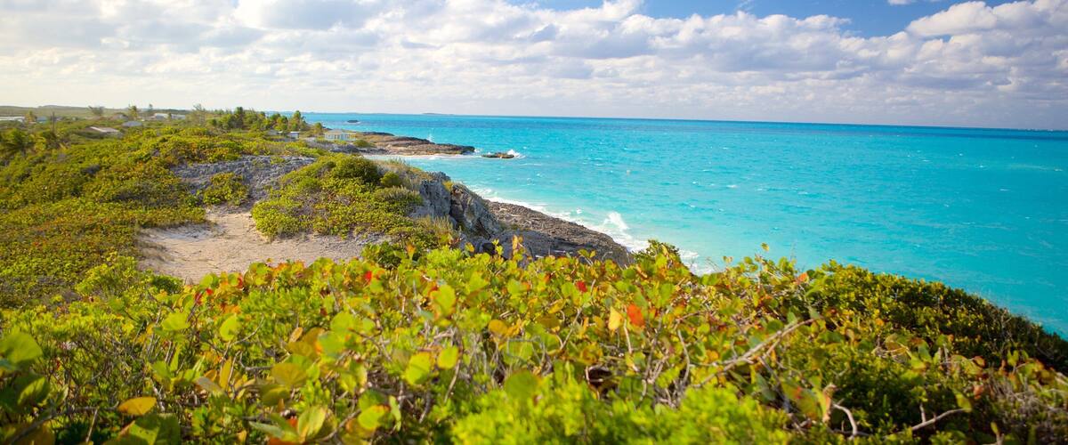 A coastal landscape with turquoise waters, rocky cliffs, and dense green vegetation.