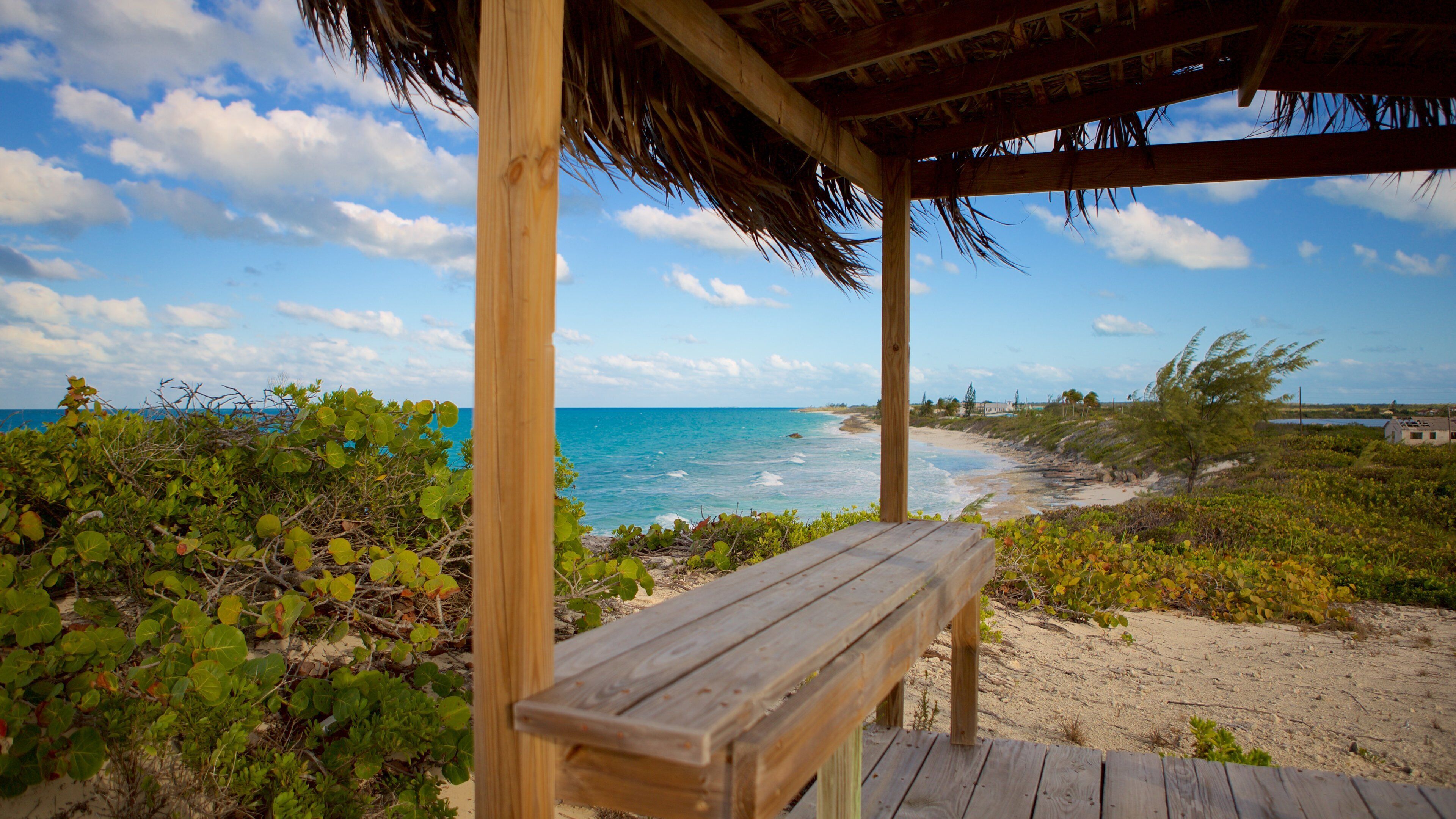 William\'s Town showing general coastal views