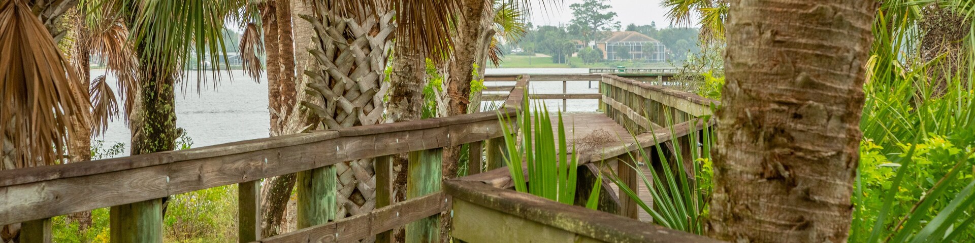 Holly Hill showing a bridge