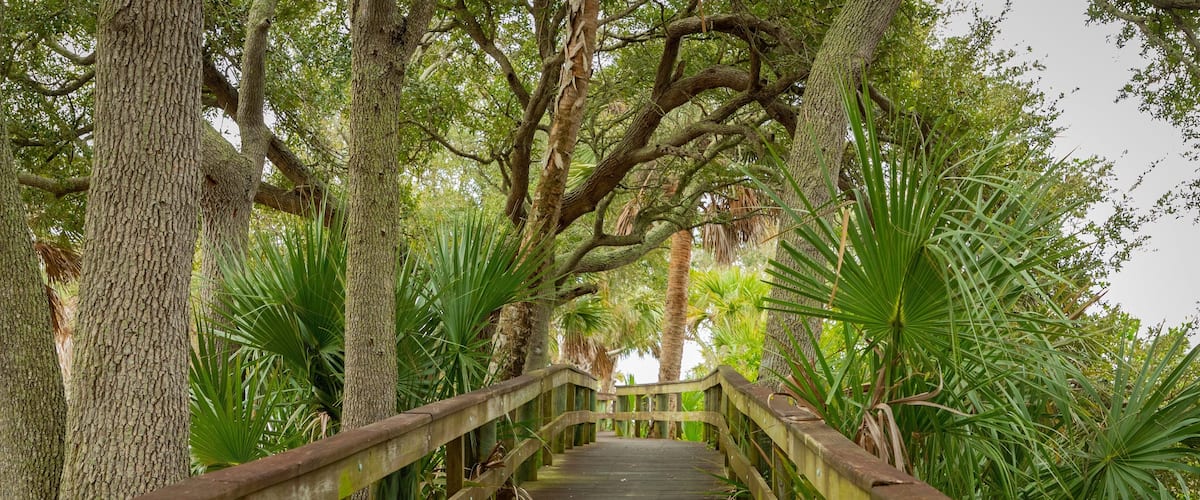 Holly Hill showing a bridge