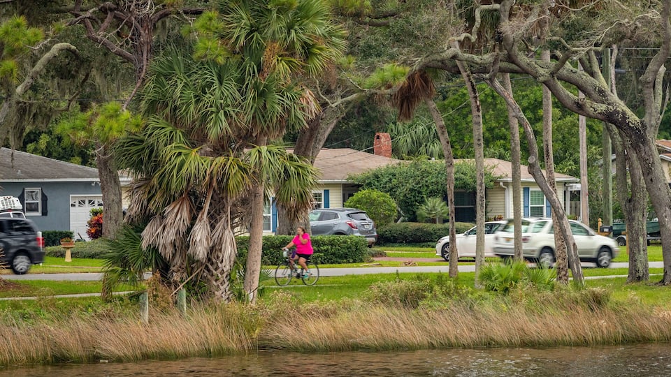 A residential area with houses, a cyclist, and a body of water.