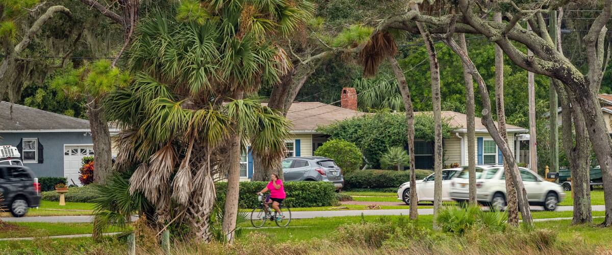 A residential area with houses, a cyclist, and a body of water.