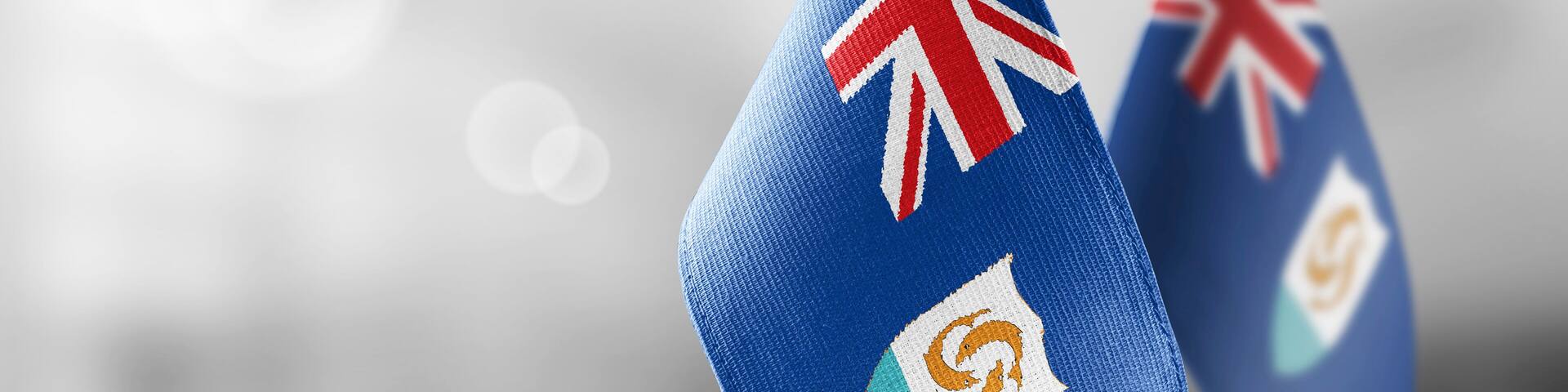 Small national flags of the Anguilla on a light blurry background