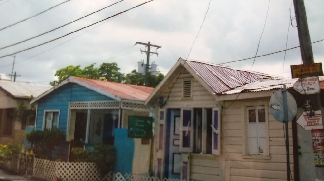 These were two of the cute little houses on Antigua.