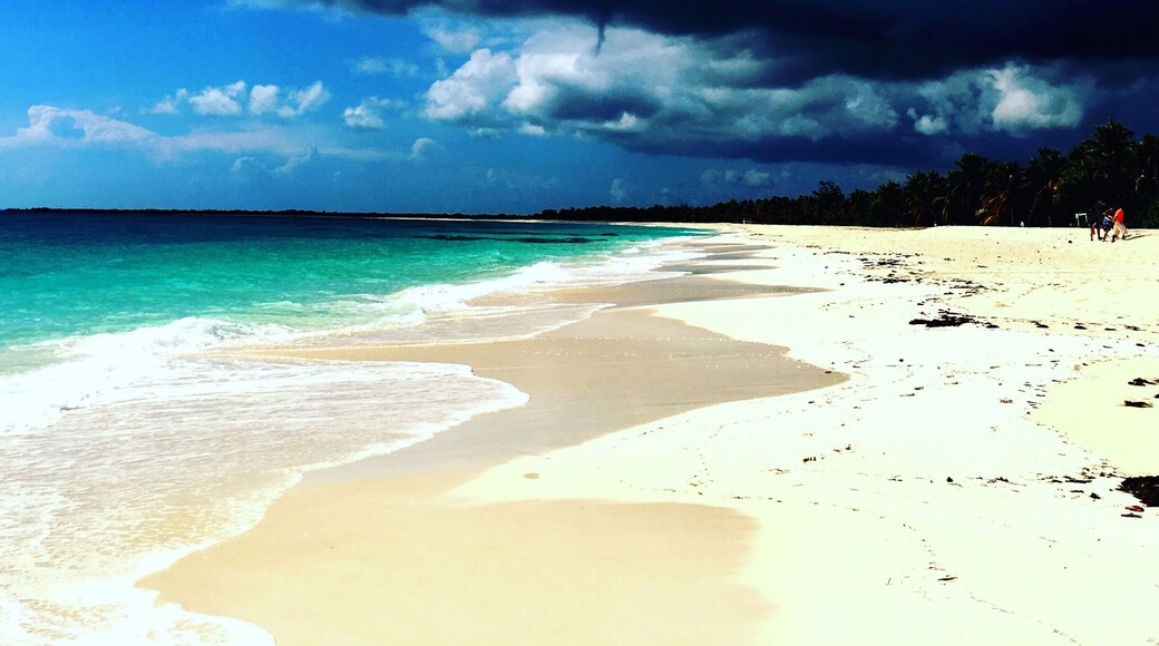 30 Years ago Lady Diana, Princess of Whales, used to spend her vacation here on Barbuda. She visited this beach 3 times. A beautiful 19km long white sand beach with coral riffs.