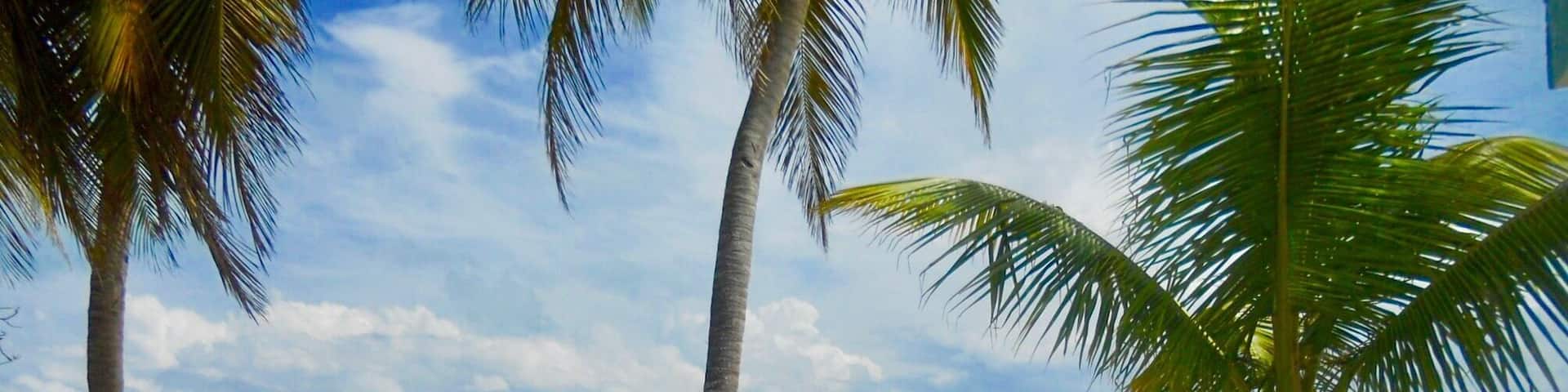 Anegada is the northernmost island in the BVI. All day sail from Virgin Gorda. The flattest island of all the BVI .Home to Horseshoe Reef, the largest in the Caribbean. Anegada lobster is a must when here
#Anegada #BVI #sailing #sunsail #caribbean #beachbound