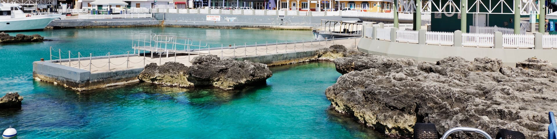 A coastal town with a marina, colorful buildings, and clear turquoise waters.