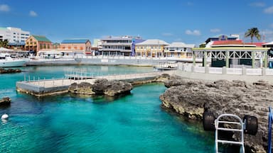 Un pueblo costero con un puerto deportivo, edificios coloridos y aguas turquesas cristalinas.