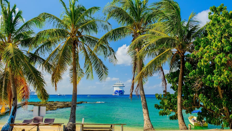 A beach with palm trees, a bench, and a cruise ship in the distance.