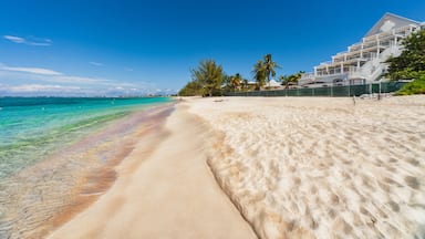 Una playa con agua turquesa cristalina, una orilla arenosa y un edificio moderno con balcones.