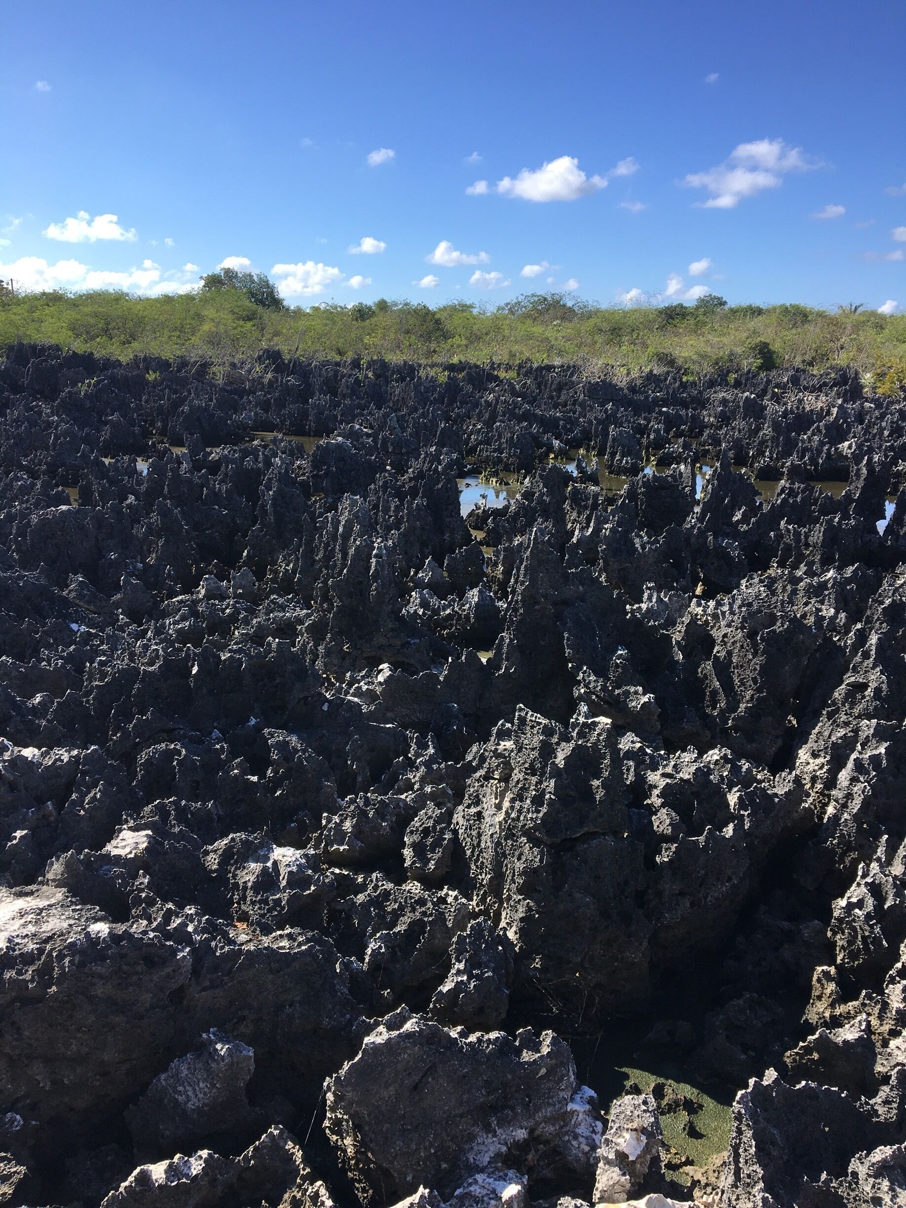Lava rock formations behind the post office.