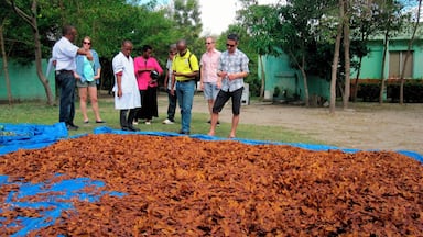 A seed bank tucked away at the end of a dead end road outside of Santo Domingo. This was started by the US Forest Service and is now run by the local government. They are providing seeds and seedlings for reforestation across the island, including Haiti.