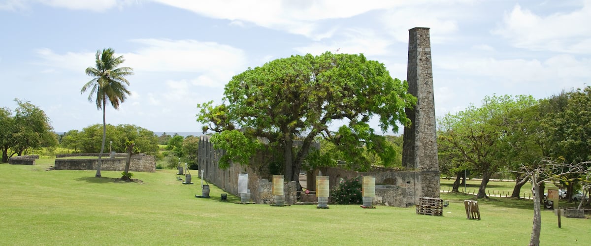 A historic stone structure with a tall chimney, surrounded by lush greenery and palm trees.