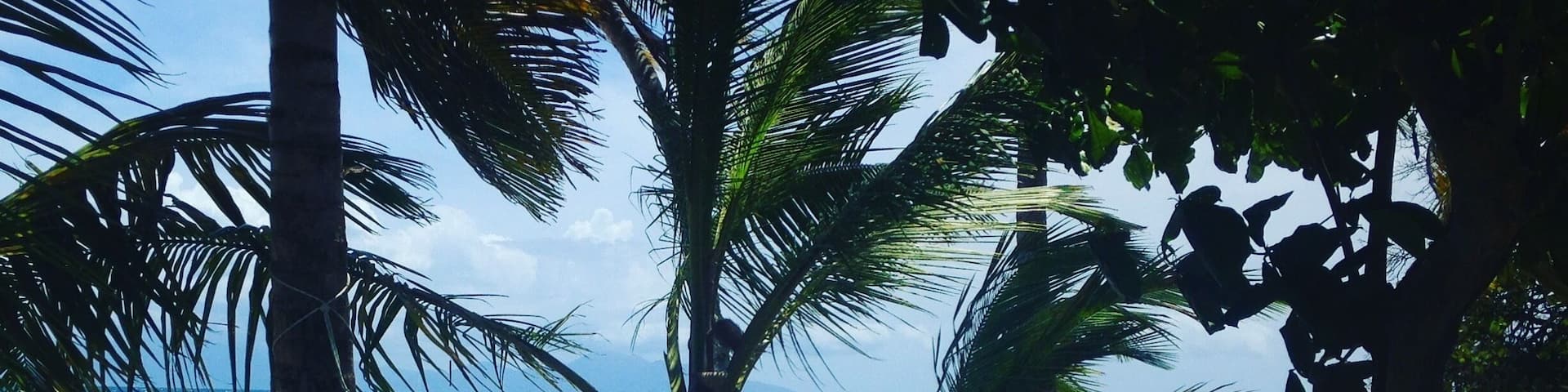 À Marie Galante, à la sortie de grand Bourg direction Capesterre. Un restau boutique des plus sympathique, détente et dépaysement assuré. Bonnes petites salades et un délicieux punch coco.