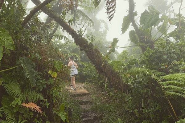 Une personne marchant sur un sentier étroit et rocailleux, bordé d’une végétation tropicale dense.
