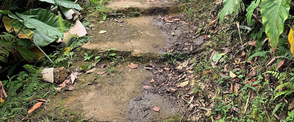 1,064 steps to the top of the volcano. Tip: hiking poles make it much easier.