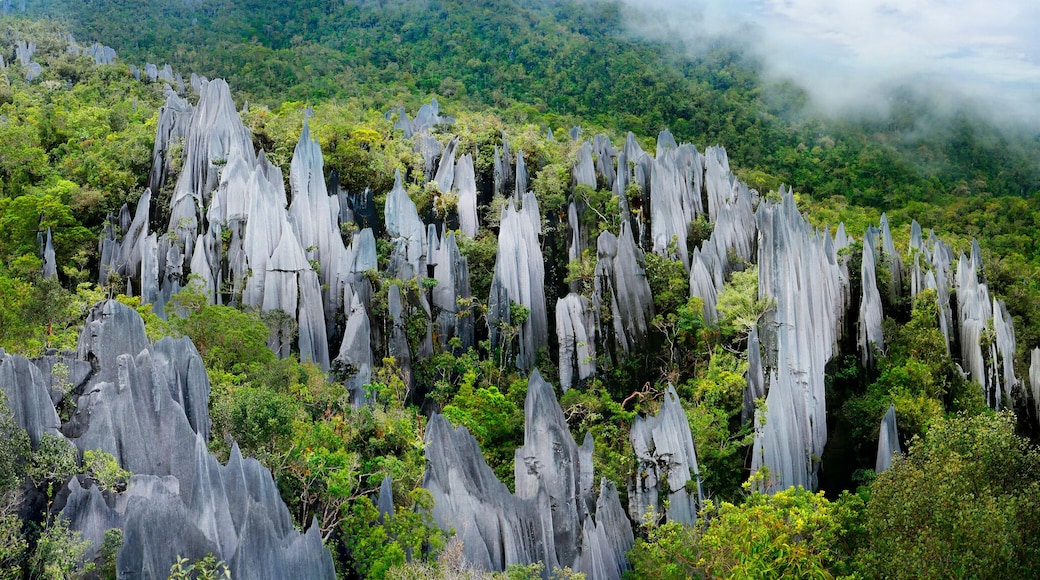 Pinnacles in Mulu national parc in Malaysia