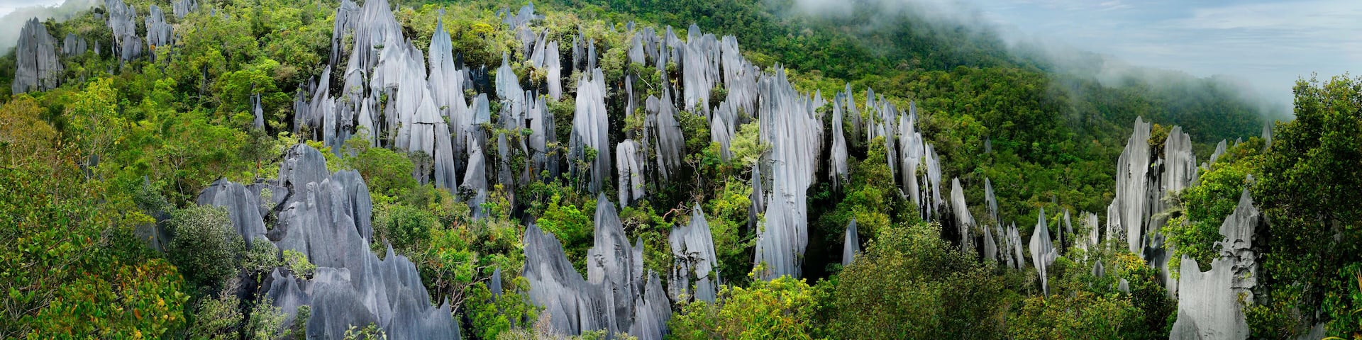 Pinnacles in Mulu national parc in Malaysia
