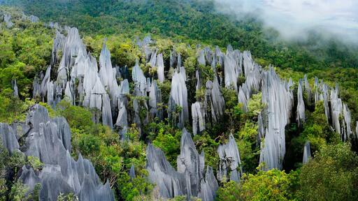 Pinnacles in Mulu national parc in Malaysia