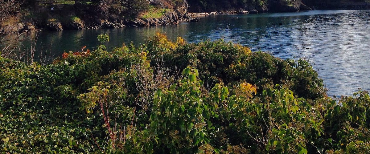 Just chilling by the shore looking at this view. #roadtrip #blue