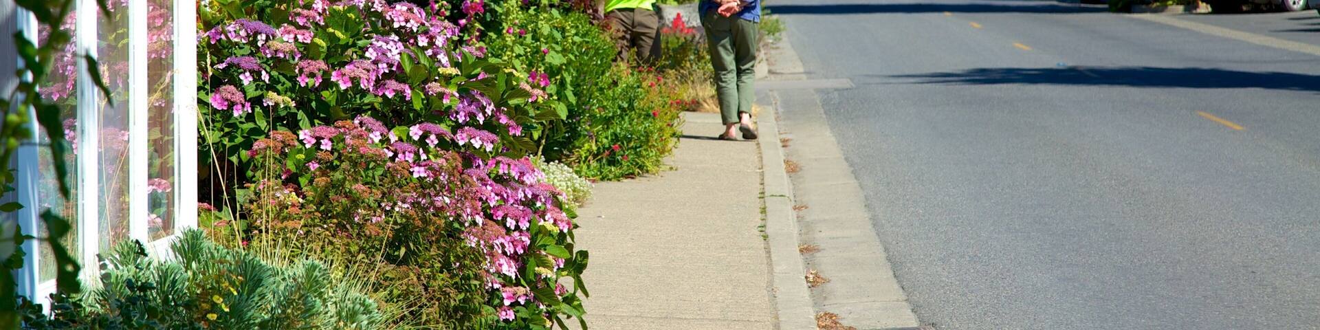 Eastsound featuring flowers, signage and a small town or village