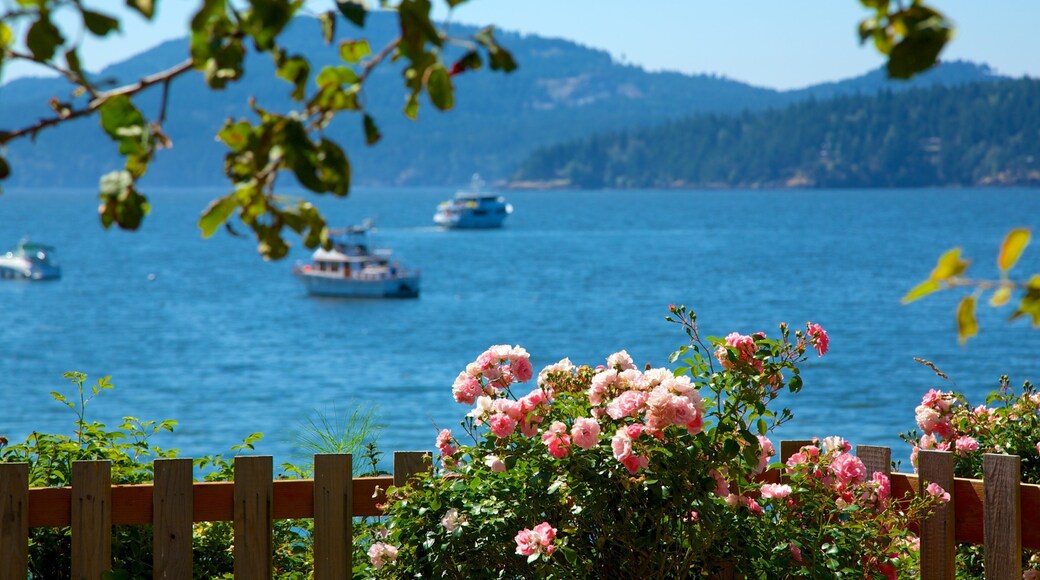 Eastsound featuring island views, flowers and boating