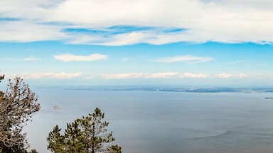 A coastal landscape with a large body of water, several small islands, and a forested hill in the foreground.