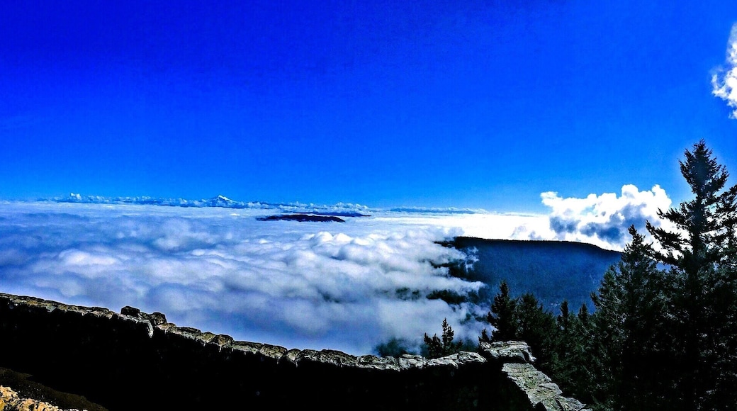 The view from the summit of Mount Constitution is spectacular, even when Rosario Strait and the surrounding bays are socked in with clouds. Mind you, these are the puffy Reddi Whip kind of clouds, and it is an otherwise beautiful autumn day, but this gives you an idea of what you have in store after a moderate 4.3-mile hike. There is also a road that will take you right to the top, or give you the option to park at several trailheads closer to the summit.
As for this photograph, if you squint very hard (or resort to a monocle) you can see Mount Baker in the distance.