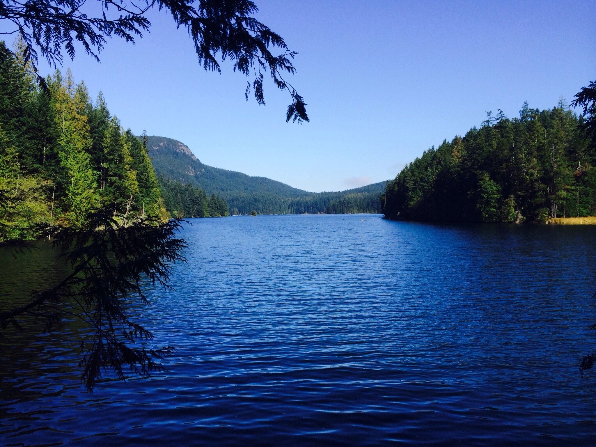 One of the many lakes tucked into Moran State Park and the complex of trails on Mount Constitution. You can either pass by this lake along the eastern Boundary Trail, as we did, or take the relatively flat three-mile loop around it, looking for osprey, eagles and a wide variety of native waterfowl.