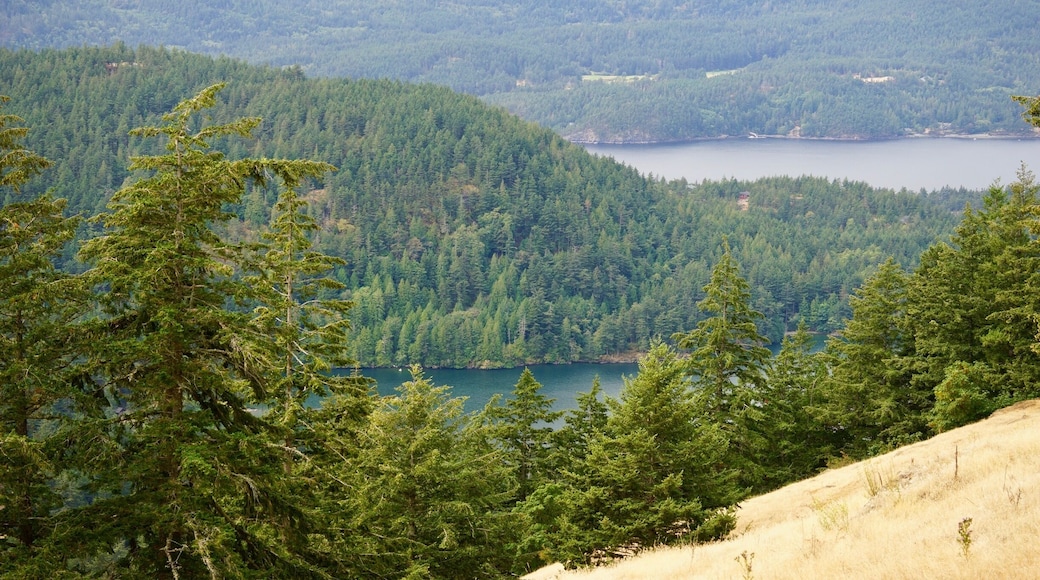 You can drive to the top of Mount Constitution on Orcas island and on a clear day you can see the other islands of the San Juan Islands. This is a view of a couple of lakes on Orcas island from the road up to the top of Mount Constitution.