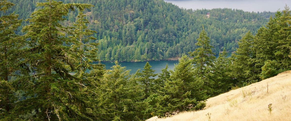 You can drive to the top of Mount Constitution on Orcas island and on a clear day you can see the other islands of the San Juan Islands. This is a view of a couple of lakes on Orcas island from the road up to the top of Mount Constitution.