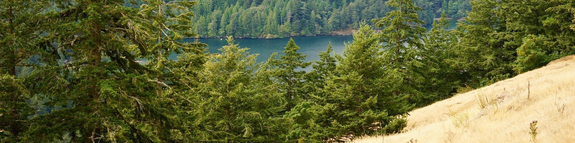 You can drive to the top of Mount Constitution on Orcas island and on a clear day you can see the other islands of the San Juan Islands. This is a view of a couple of lakes on Orcas island from the road up to the top of Mount Constitution.