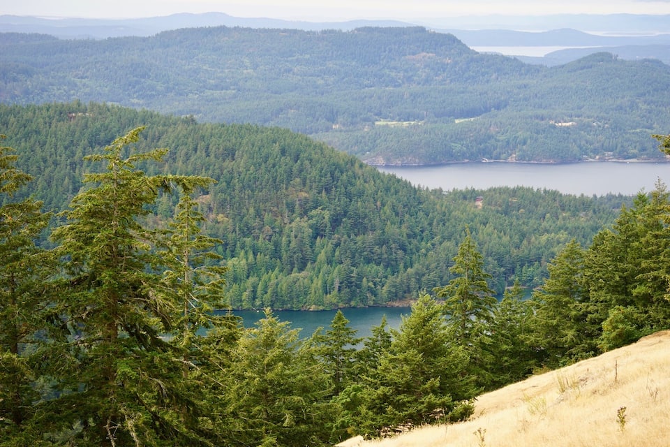 A mountainous landscape with dense forests and a lake.