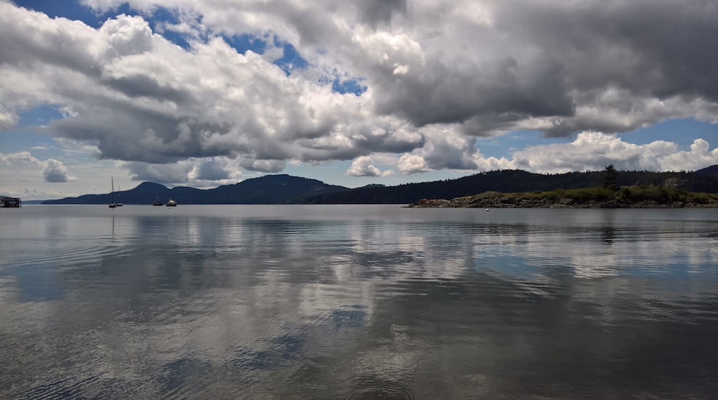 If you haven't been to Orcas Island, go next summer. It is the most beautiful place I have ever been.