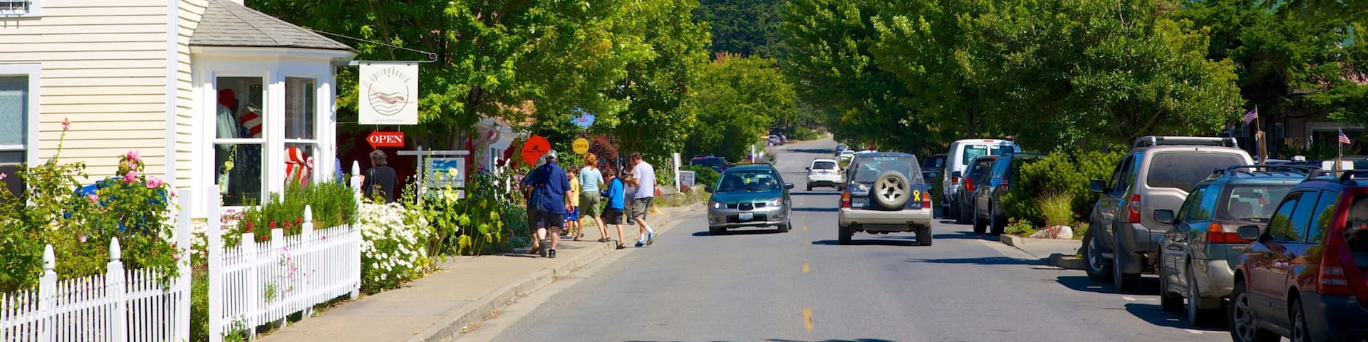Orcas Island featuring street scenes