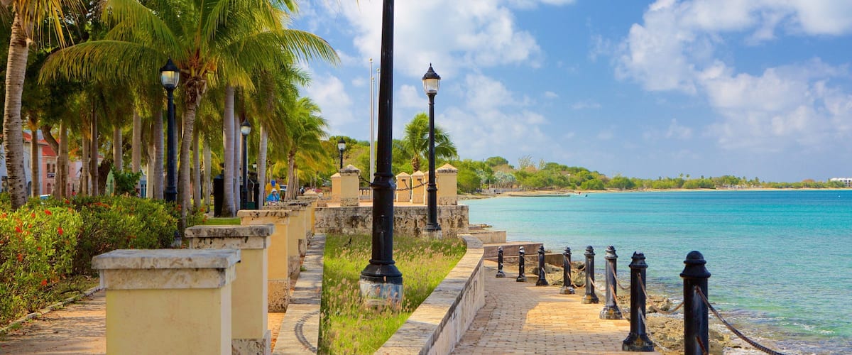 A coastal walkway with palm trees, a clear blue sea, and a brick path.