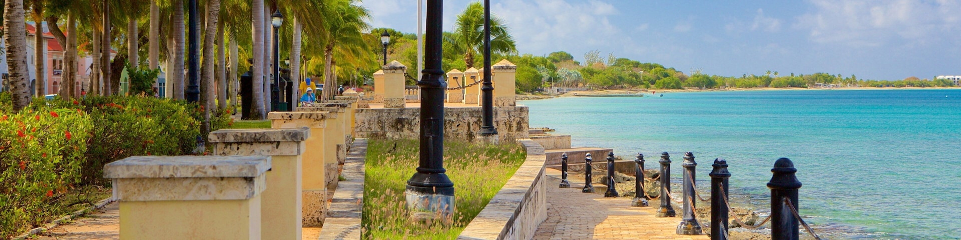 A coastal walkway with palm trees, a clear blue sea, and a brick path.